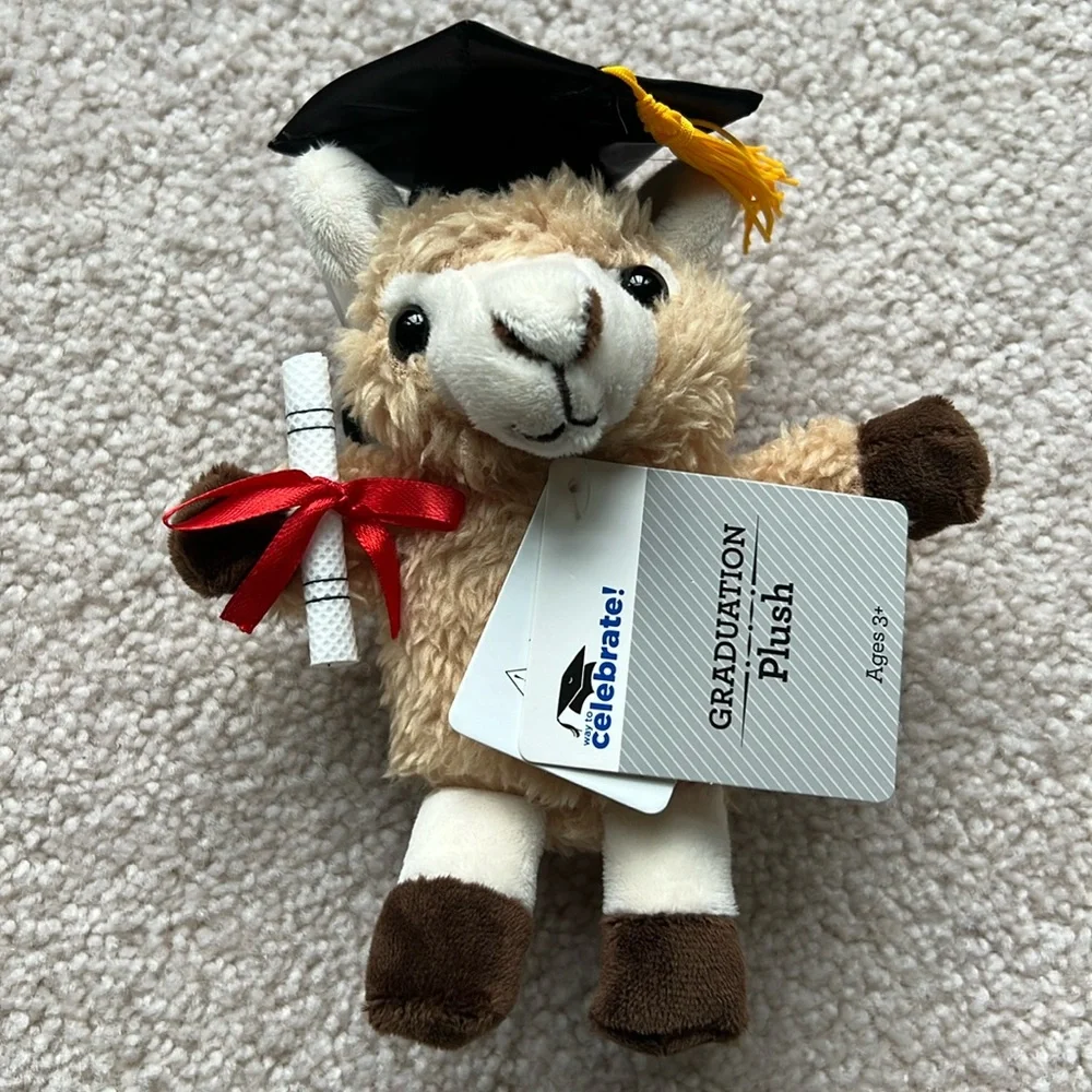 Graduation Plush - Picture 1 of 5